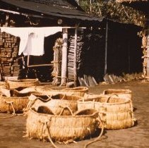Sweet Potato Sprout Baskets, Laundry on Bamboo Poles, near Miyonoshita, Jap
